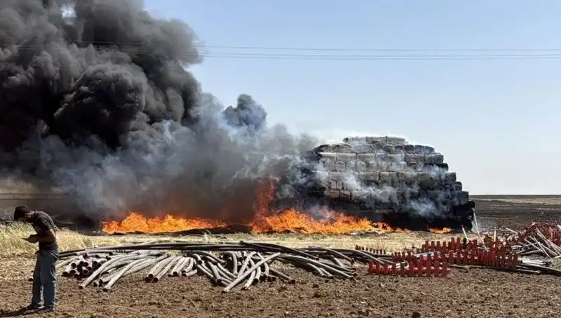 Mardin'de Feci Anız Yangını: Doğaya Zarar ve Tehlike Alarmı!