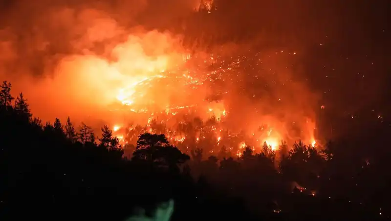 Bursa ve Balıkesir Sınırındaki Orman Yangını Kontrol Altına Alındı