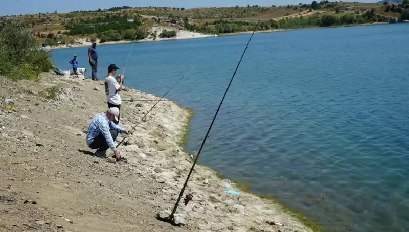 Kafeslerdeki Sürpriz: Baraja Koşan Kalabalığın Sebebi Ne?