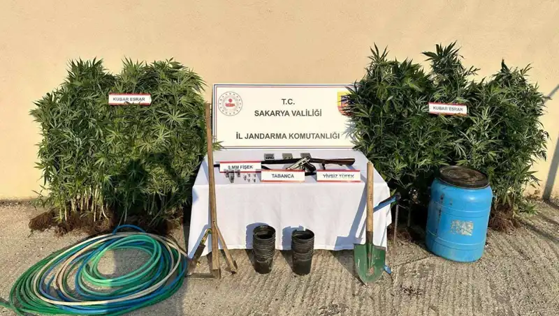 Sakarya’da Uyuşturucu Operasyonu: 1 Kişi Tutuklandı, 2. Olayda Aydınlatılıp Kayıplara Karıştı!