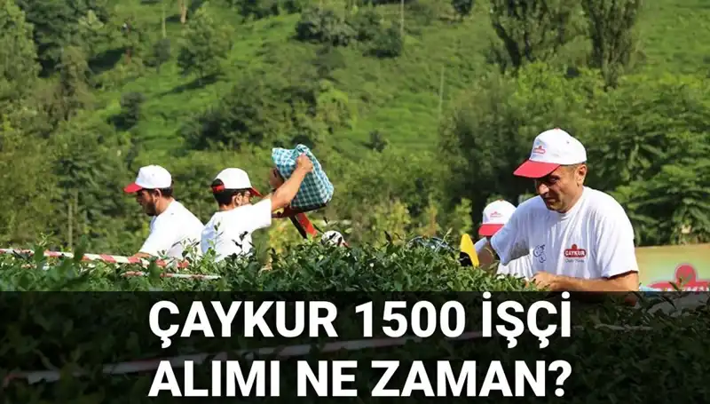 Çaykur İşçi Alımı İçin Başvuru Tarihleri Açıklandı! İşte Detaylar